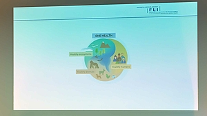 Blick auf die projizierte Präsentation: Das Bild zeigt unter der Überschrift „One Health“ drei zu einem Kreis oder einer Kugel verbundene Grafiken, die Ökosystem, Mensch und Tier darstellen mit der jeweiligen Beschriftung „Healthy ecosystems“, Haelthy humans“ und „Healthy animals“.