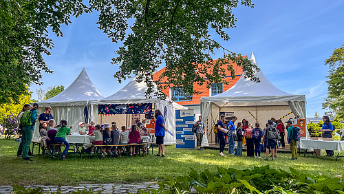 Forschungscamp: Das Kinderuni- und Mitmachzelt der HSMW Drei Pavillions auf einer Wiese. Viele Kinder sitzen und stehen davor und darin.